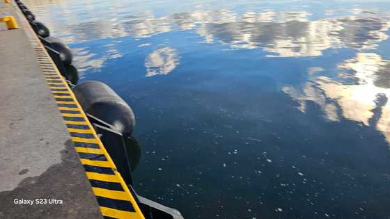 Foam Fender With A Diameter Of 1 M And A Length Of 2 M